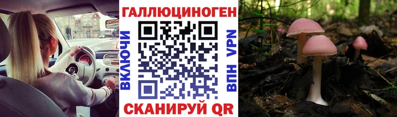 Галлюциногенные грибы ЛСД магазин Кингисепп